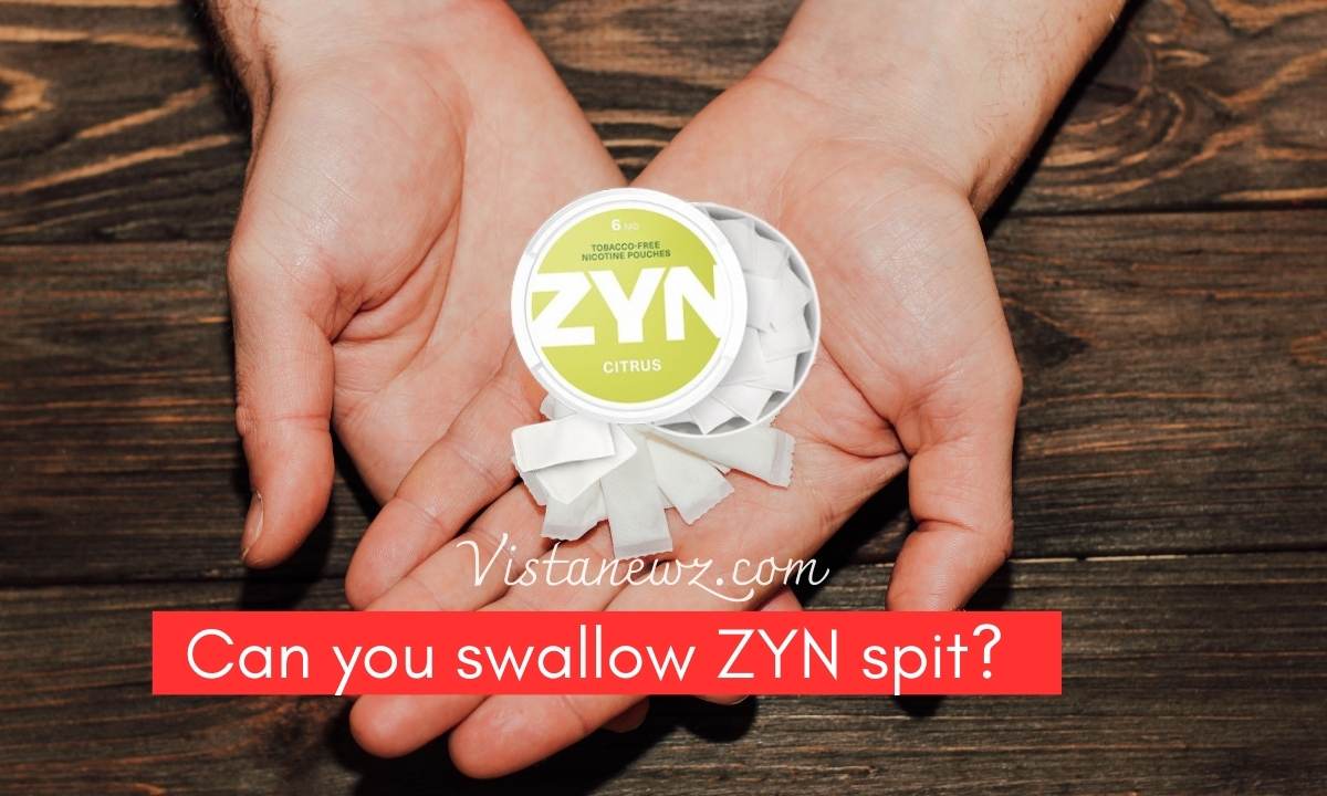 Can You Swallow ZYN Spit?: Is It Safe Or Not